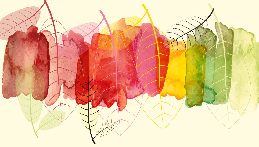 Leaves painted in watercolor.