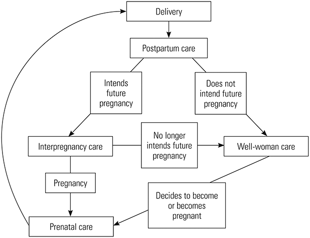 Figure 1. Interpregnancy Care Within the Continuum of Care. 