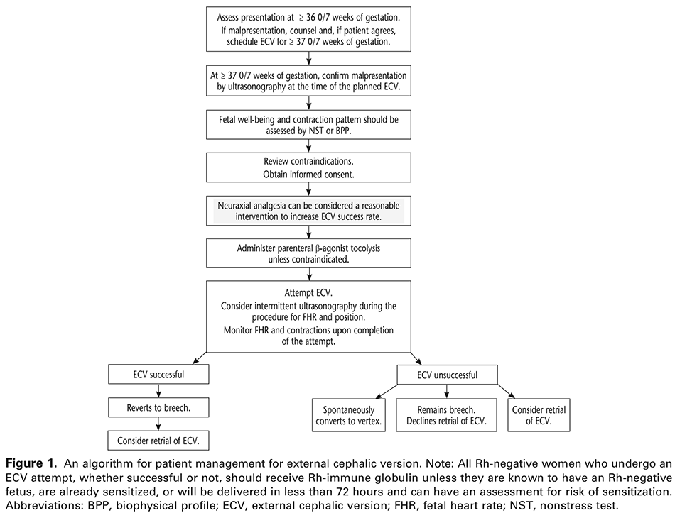 Figure 1. An algorithm for patient management for external cephalic version. Note: All Rh-negative women who undergo an ECV attempt, whether successful or not, should receive Rh-immune globulin unless they are known to have an Rh-negative fetus, are already sensitized, or will be delivered in less than 72 hours and can have an assessment for risk of sensitization. Abbreviations: BPP, biophysical profile; ECV, external cephalic version; FHR, fetal heart rate; NST, nonstress test. 