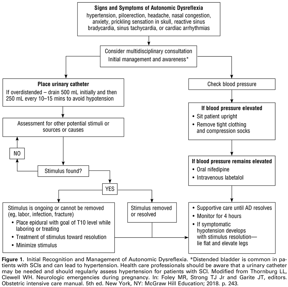 Obstetric Management of Patients with Spinal Cord Injuries