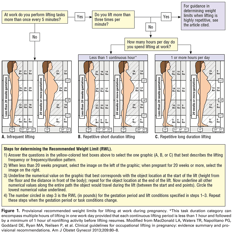 Figure 1. Provisional recommended weight limits for lifting at work during pregnancy. *This task duration category can encompass multiple hours of lifting in one work day provided that each continuous lifting period is less than 1 hour and followed by a minimum of 1 hour of nonlifting activity before lifting resumes. Modified from MacDonald LA, Waters TR, Napolitano PG, Goddard DE, Ryan MA, Neilsen P, et al. Clinical guidelines for occupational lifting in pregnancy: evidence summary and provisional recommendations. Am J Obstet Gynecol 2013;209:80–8. 