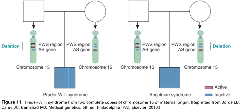 Modern Genetics in Obstetrics and Gynecology