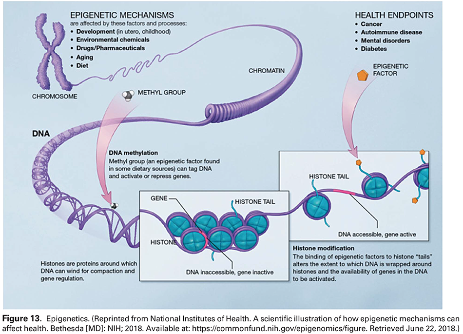 Modern Genetics in Obstetrics and Gynecology