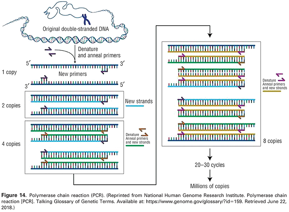 Modern Genetics in Obstetrics and Gynecology