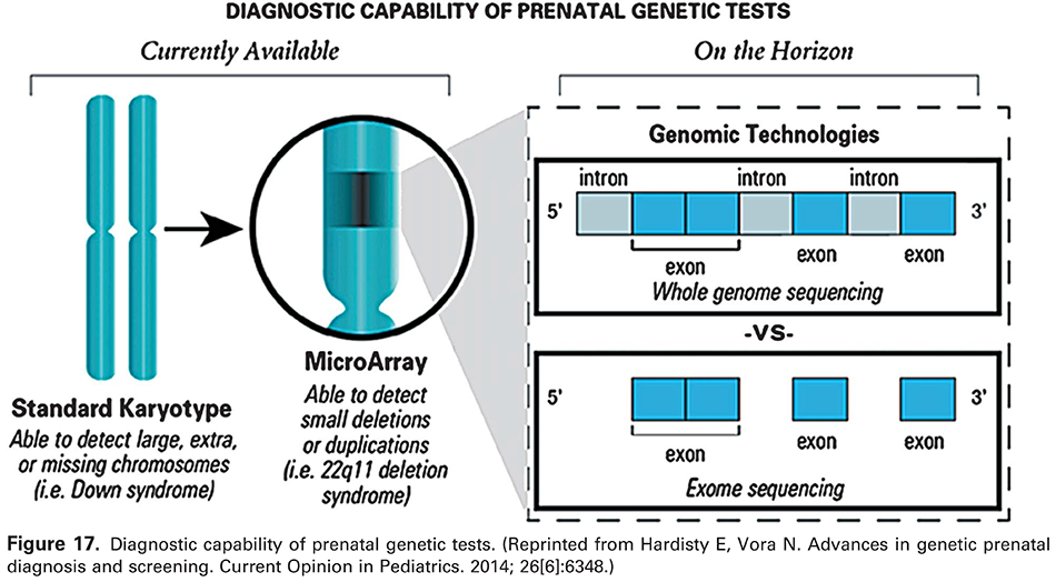 Figure 17. Diagnostic capability of prenatal genetic tests. (Reprinted from Hardisty E, Vora N. Advances in genetic prenatal diagnosis and screening. Current Opinion in Pediatrics. 2014; 26[6]:6348.) 
