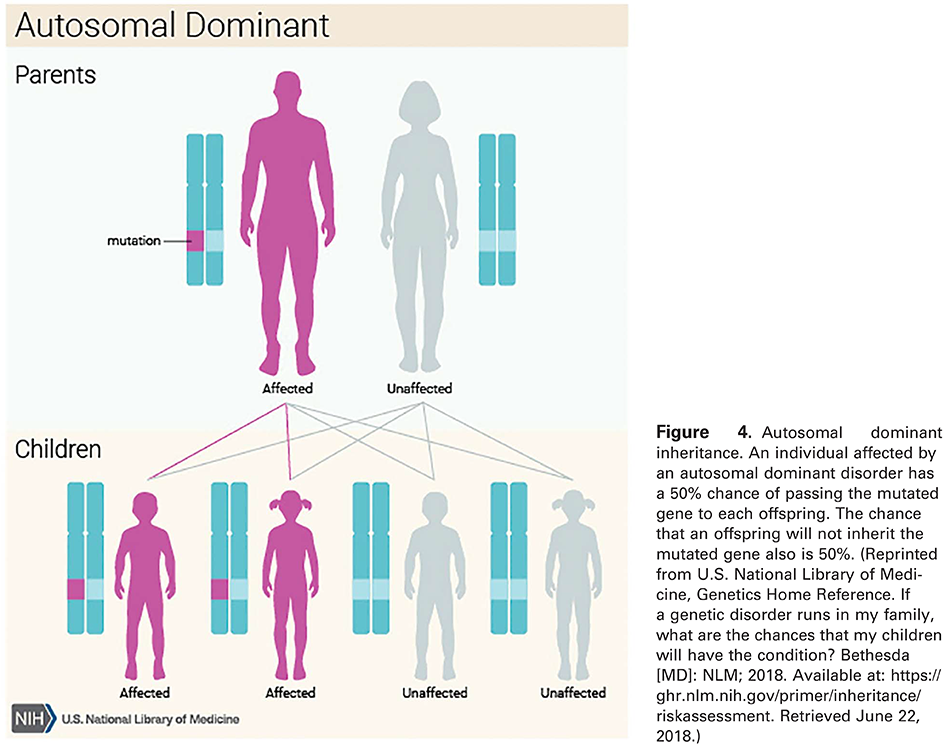 Figure 4. Autosomal dominant inheritance. An individual affected by an autosomal dominant disorder has a 50% chance of passing the mutated gene to each offspring. The chance that an offspring will not inherit the mutated gene also is 50%. (Reprinted from U.S. National Library of Medicine, Genetics Home Reference. If a genetic disorder runs in my family, what are the chances that my children will have the condition? Bethesda [MD]: NLM; 2018. Available at: 
 https://ghr.nlm.nih.gov/primer/inheritance/riskassessment . Retrieved June 22, 2018.)
 