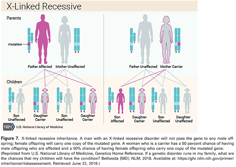 Modern Genetics in Obstetrics and Gynecology