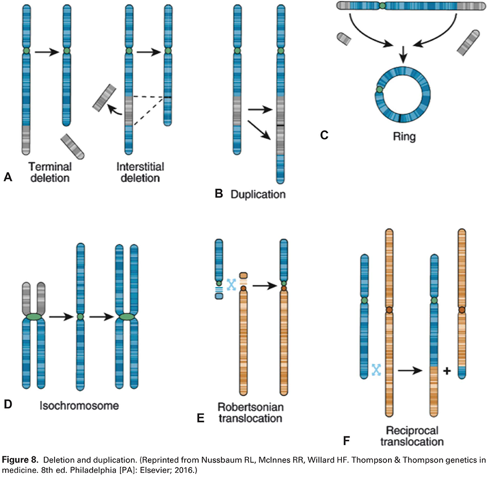 Modern Genetics in Obstetrics and Gynecology